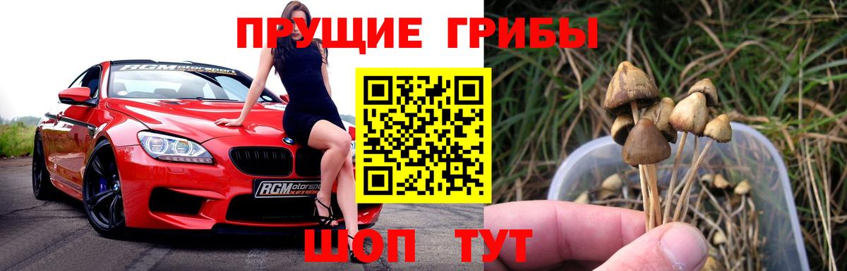 Псилоцибиновые грибы GOLDEN TEACHER  Псилоцибиновые грибы Cubensis  Вход с VPN  Острогожск 