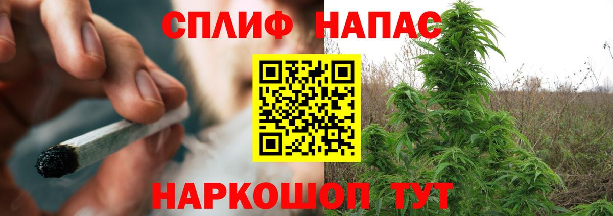 Бошки Шишки AK-47  Марихуана семена  Вход с VPN  Шишки марихуана семена  Острогожск 